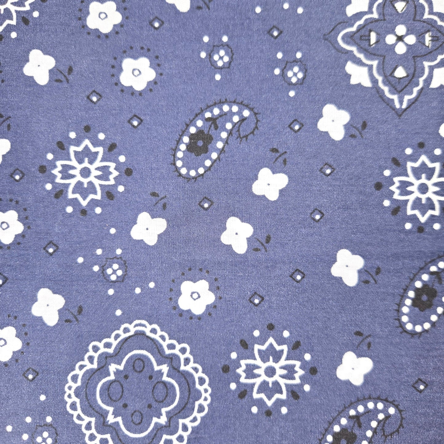 Akasha Tote - Bandana Edition