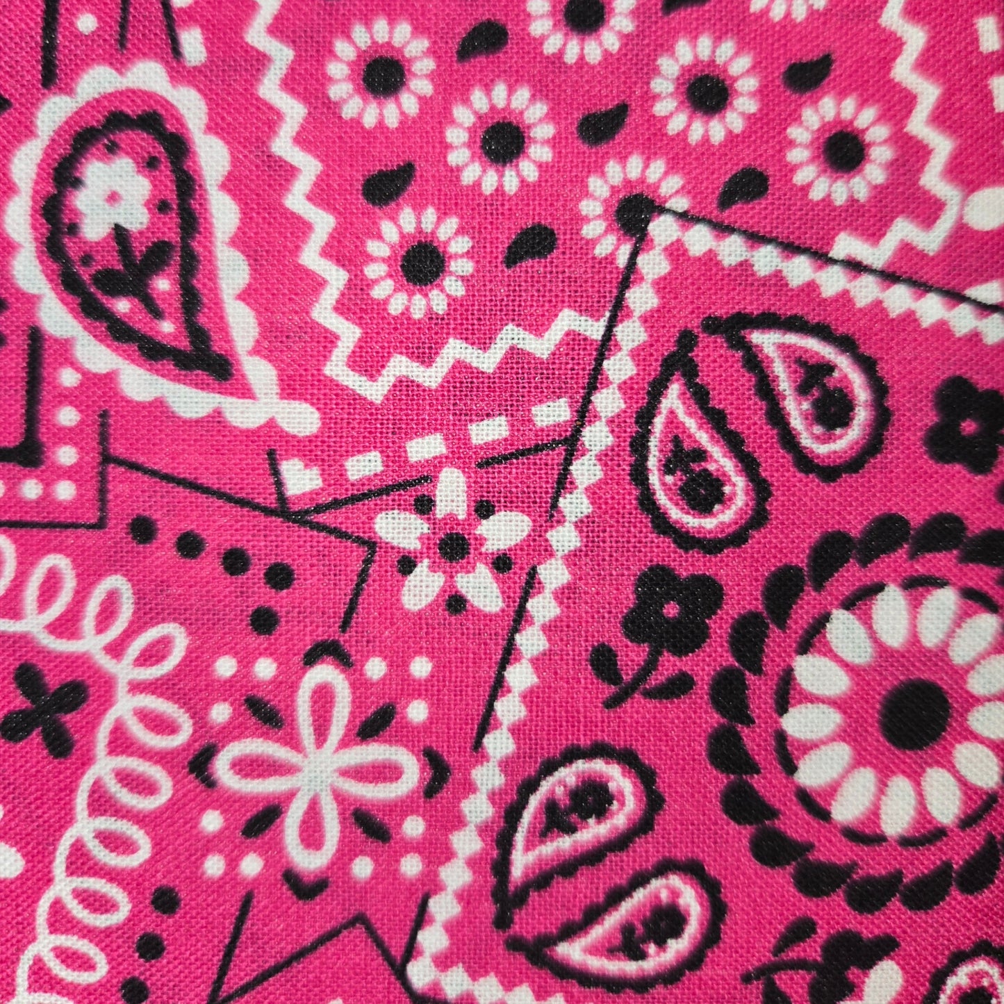 Akasha Tote - Bandana Edition