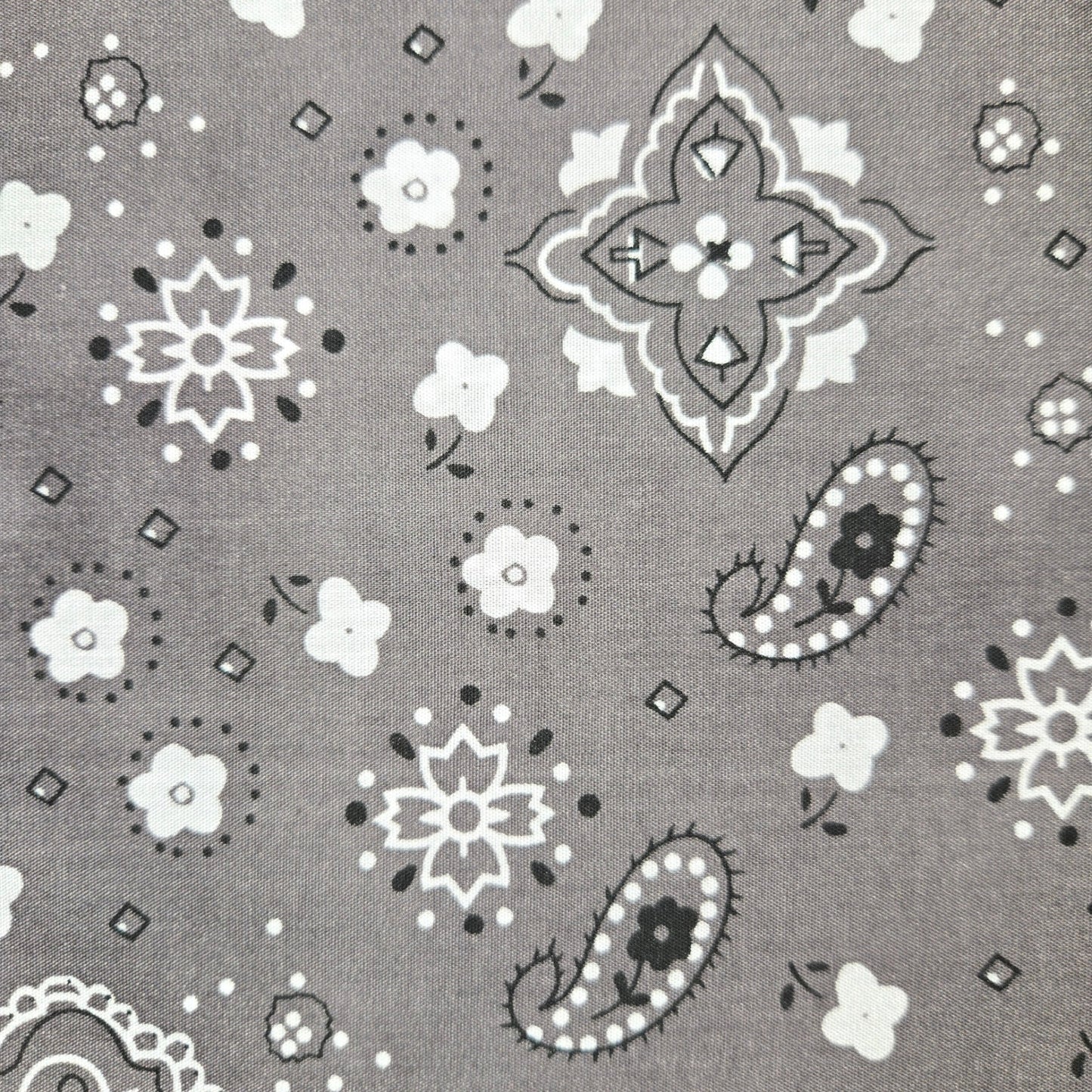 Akasha Tote - Bandana Edition