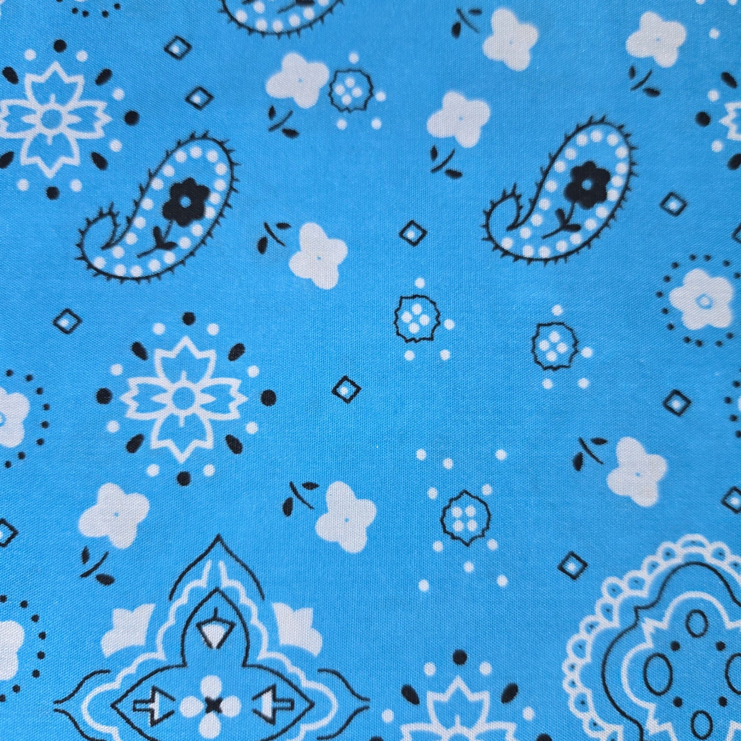 Akasha Tote - Bandana Edition