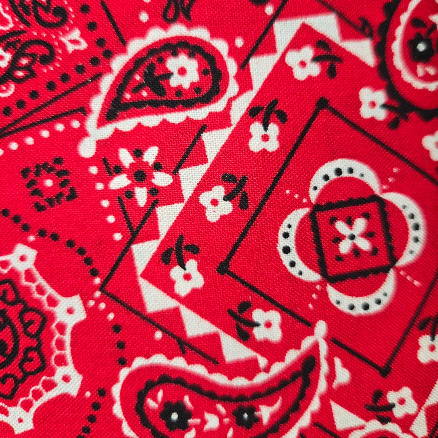 Akasha Tote - Bandana Edition