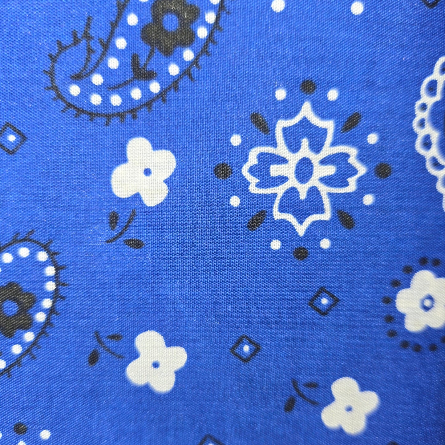 Akasha Tote - Bandana Edition